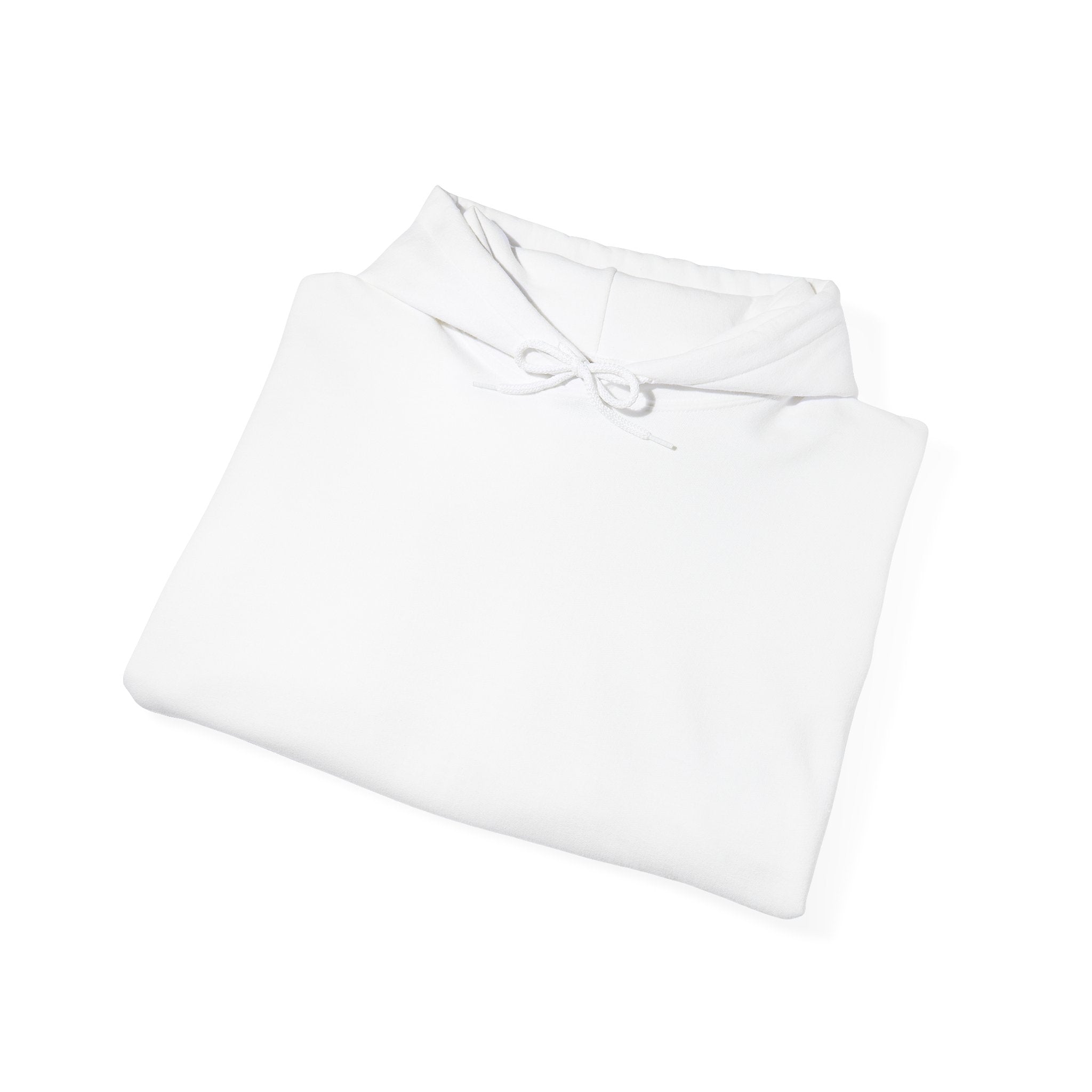 Hoodie - Burn Rubber Not Rules Vintage Anarchy Car Graphic